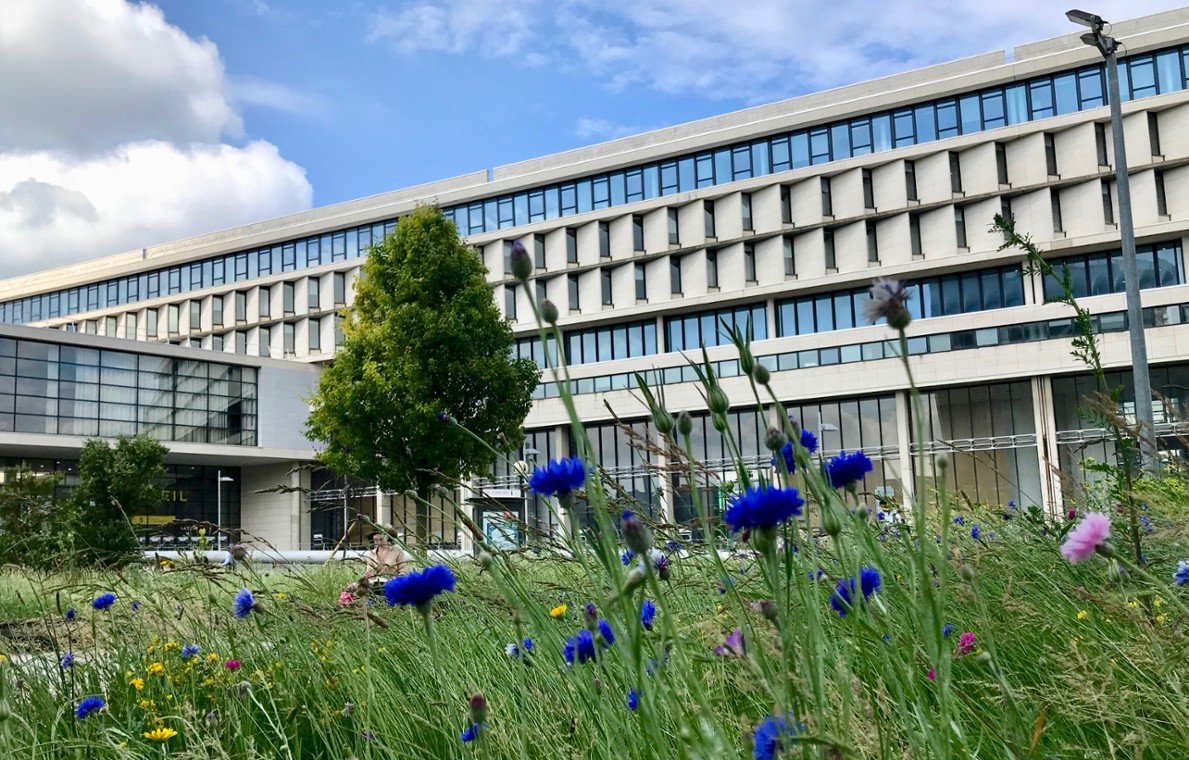 CY Cergy Paris Université obtient le label DD&RS et confirme son engagement en faveur de la transition écologique et sociale 